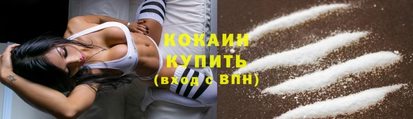 гидра Медвежьегорск