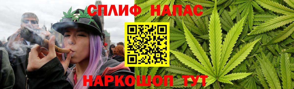Бошки Шишки сатива Якутск